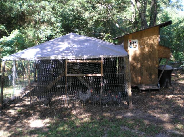 65709_p8170001.jpg