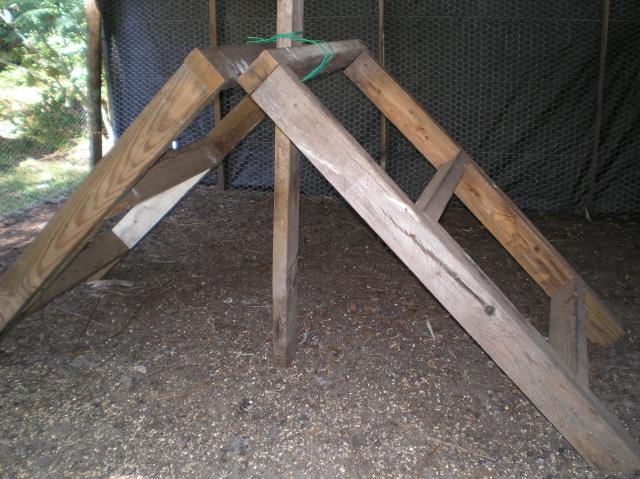 65709_p8170004.jpg