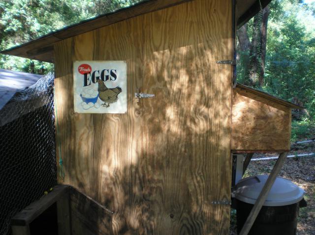 65709_p8170007.jpg