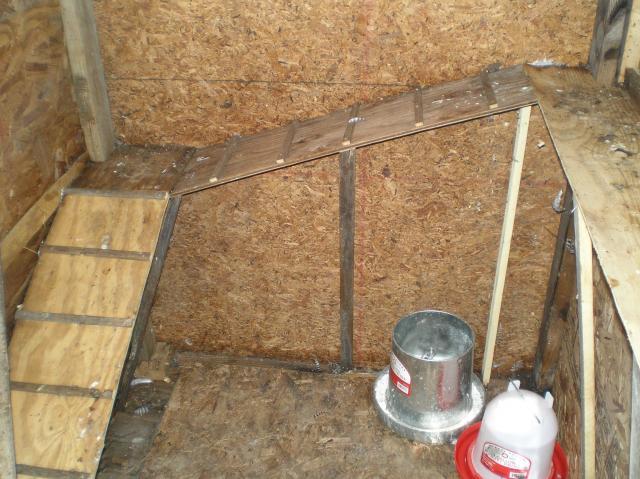 65709_p8170009.jpg