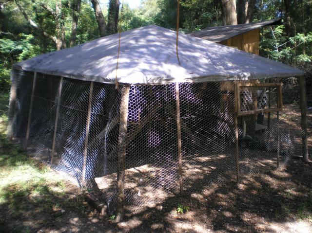 65709_p8170012.jpg