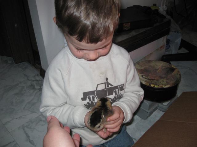 6573_img_0791.jpg