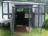 65831_chickens.jpg