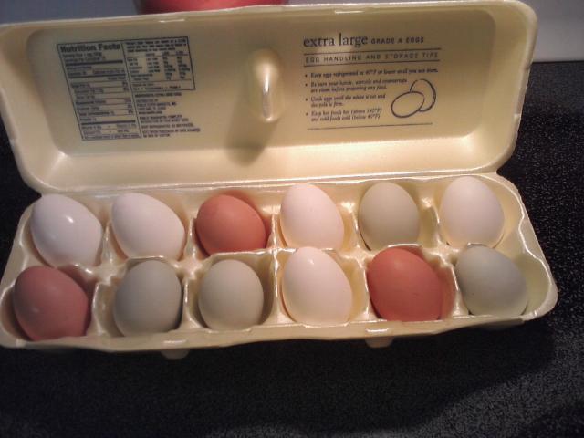 65856_our_eggs.jpg