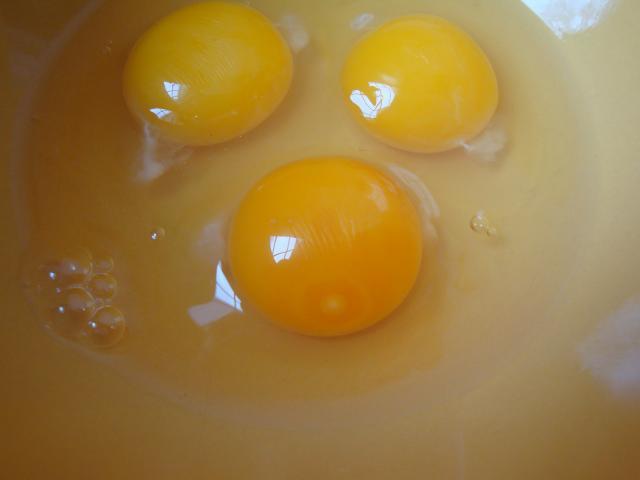 65913_chicken_eggs_044.jpg