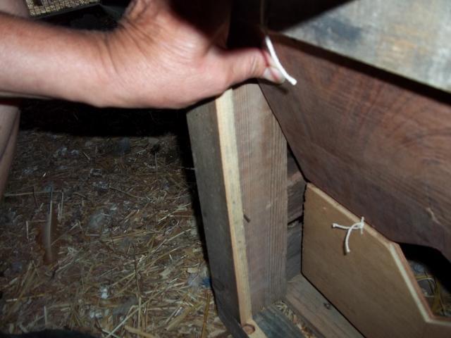 65925_100_0419.jpg