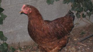 65931_img_6628.jpg