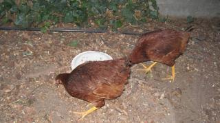 65931_img_6640.jpg