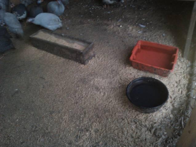 6612_covered_stall_with_sand_after_rain2.jpg