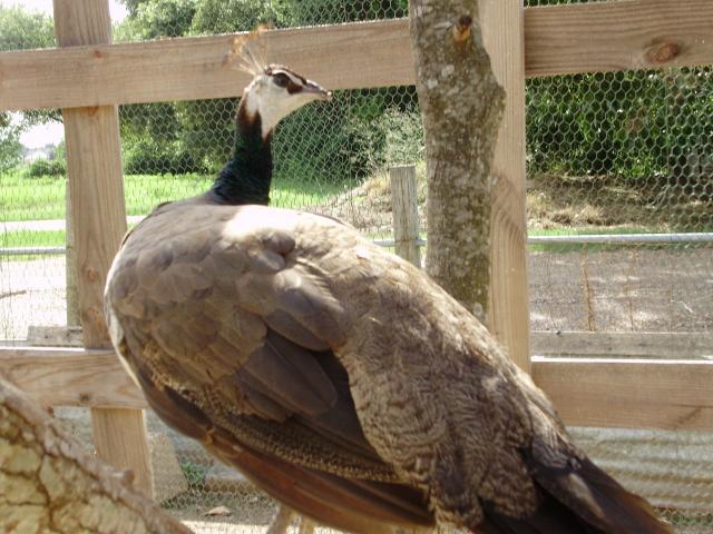 6612_p18.jpg