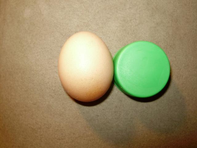 6612_small_egg.jpg