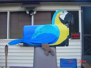 66295_parrott_mailbox_1.jpg