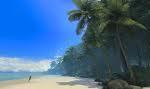 66336_jungle_beach.jpg