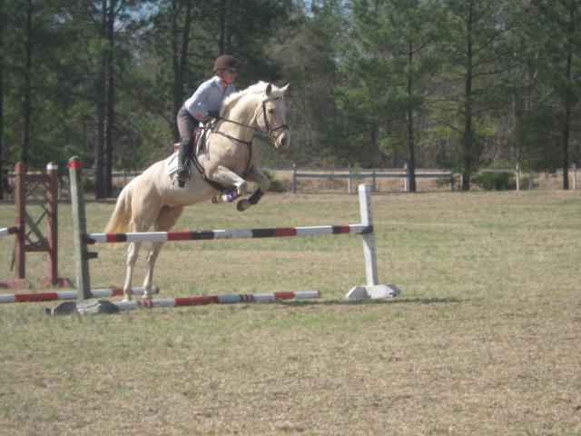 66562_animals_009.jpg