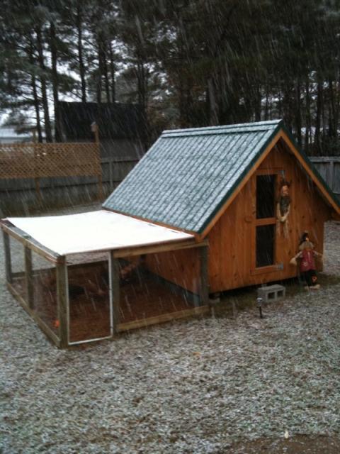 66692_chickens_first_snow.jpg