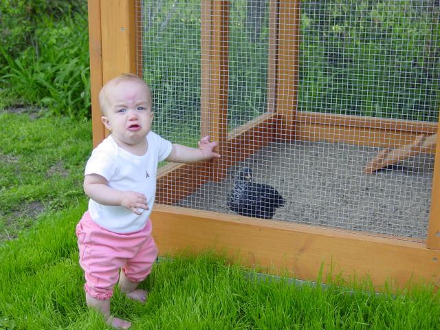 66725_june_genevieve_play_with_the_chickens_04-18-10_015.jpg