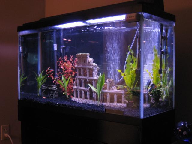 66797_aquarium.jpg