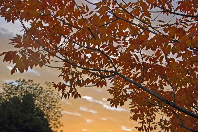 66877_dsc_0047.jpg
