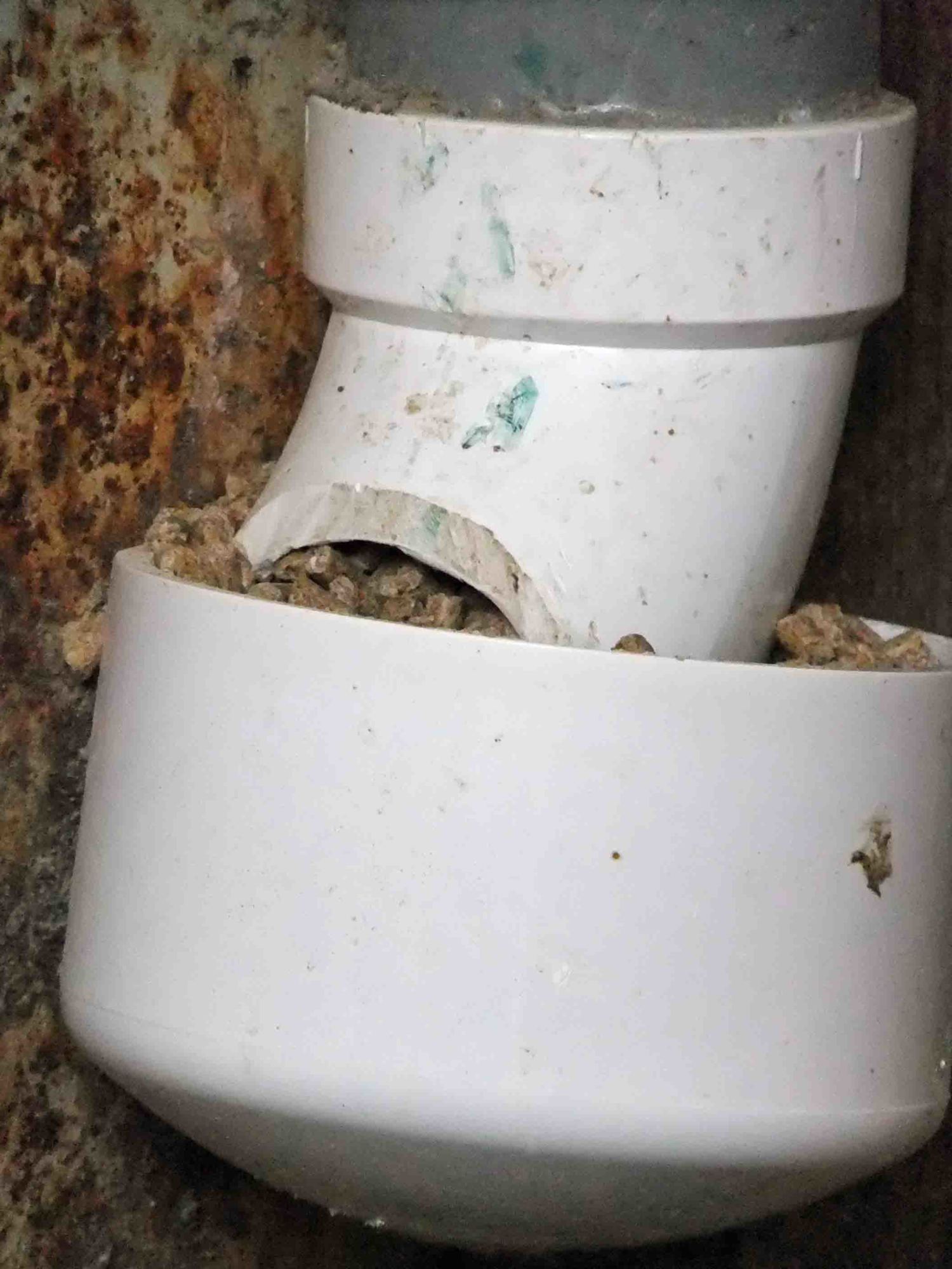66877_feeder_3.jpg