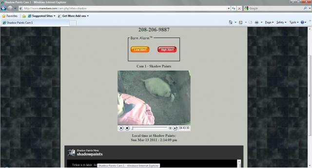 6688_tinker.jpg