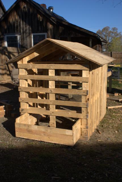 Make your own coop from free pallets...See mine! Pic Heavy ...