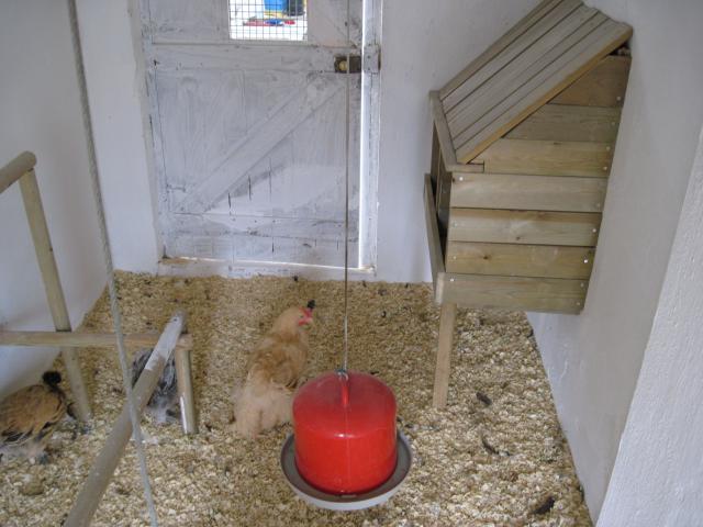 67171_img_0211.jpg