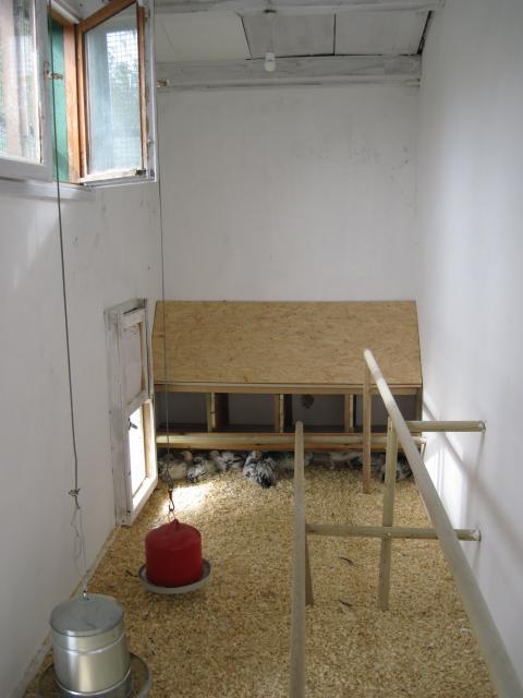 67171_img_0243.jpg