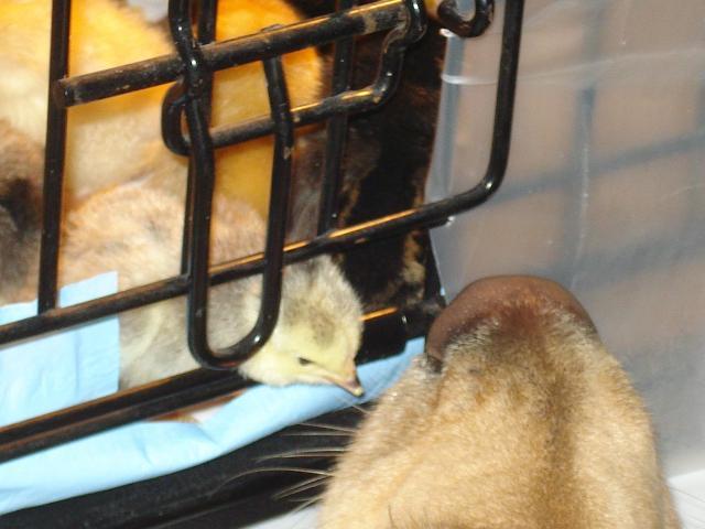 67216_dsc01649.jpg