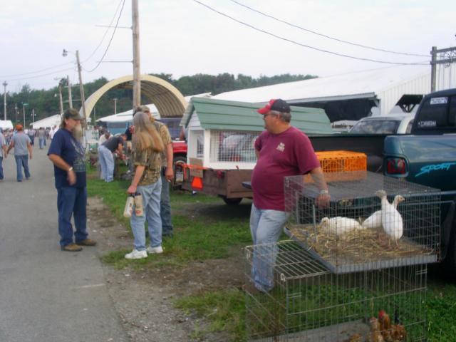67270_turkeys_coop_and_alley.jpg