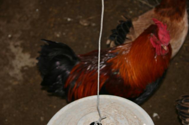 67305_img_4191.jpg