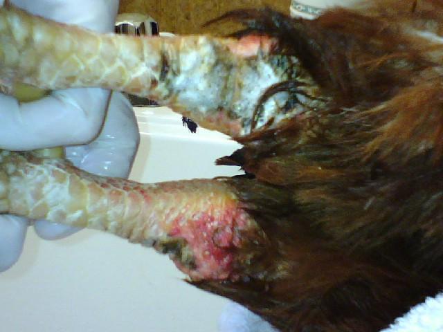 6736_0711001756.jpg