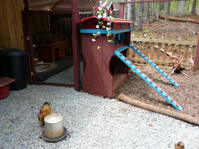 67374_chicken_run_056.jpg