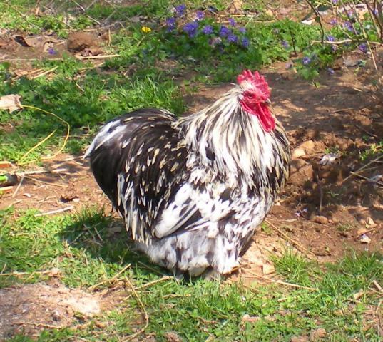 67387_018.jpg