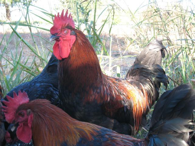 67427_078.jpg