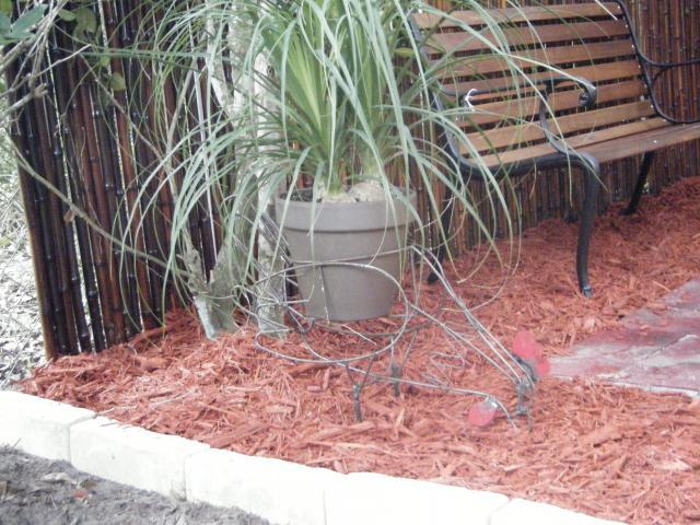 67489_dscf5308.jpg