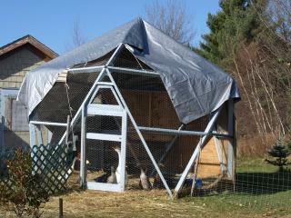 67505_duck_dome_web.jpg