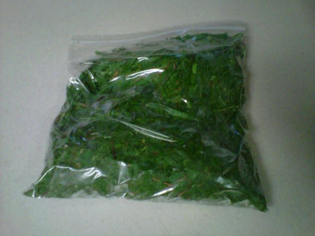 67513_img00084-20110702-1600.jpg