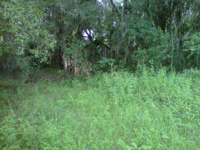 67513_img00116-20110717-0843.jpg