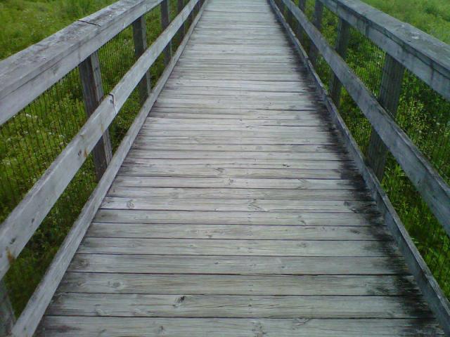 67513_img00120-20110717-1128.jpg