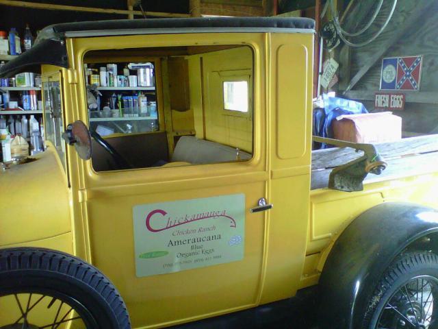 67513_img00142-20110722-1340.jpg