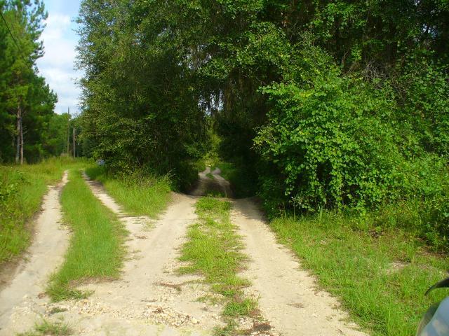 67513_p1030307.jpg