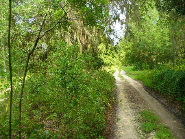 67513_p1030308.jpg