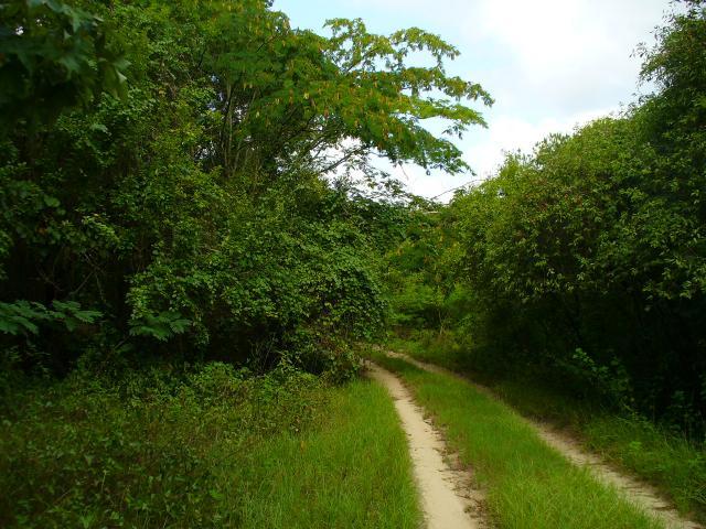 67513_p1030310.jpg
