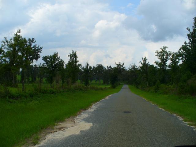 67513_p1030364.jpg