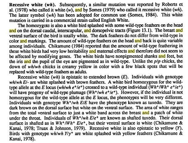 67513_recessive_white.jpg