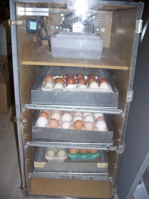 67557_100_1034.jpg