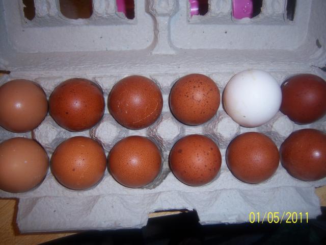 67579_100_3948.jpg