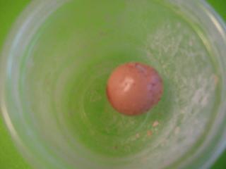67650_strange_egg061411.jpg