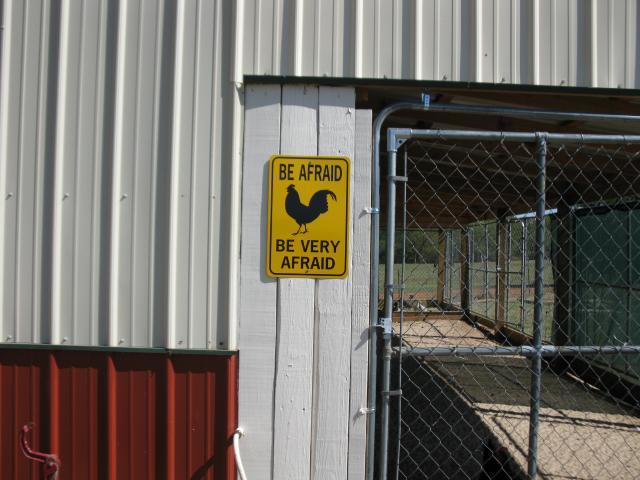 67664_barn_and_chickens_004.jpg