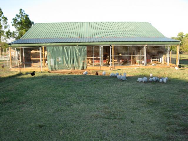 post your chicken coop pictures here! Page 2 BackYard 